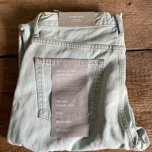 Everlane The 90’s Cheeky Jean Size 29 (Ankle) Distressed Pale Blue